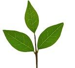 チリツモ・ブックメーカー投資法 監修者 高柳智和